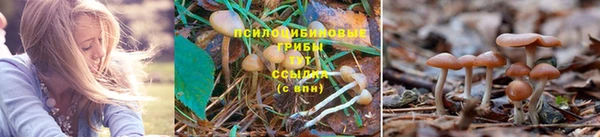 ECSTASY Нефтекумск
