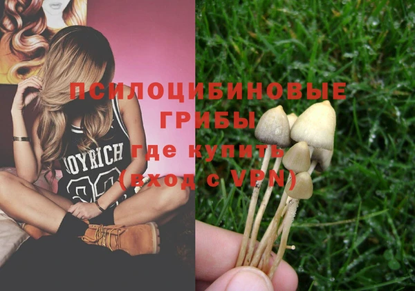 ECSTASY Нефтекумск