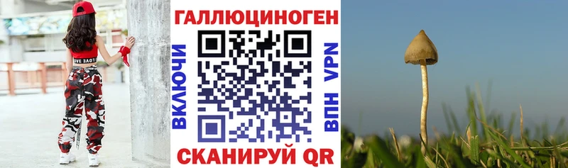 Псилоцибиновые грибы Psilocybe хочу наркоту Александровск